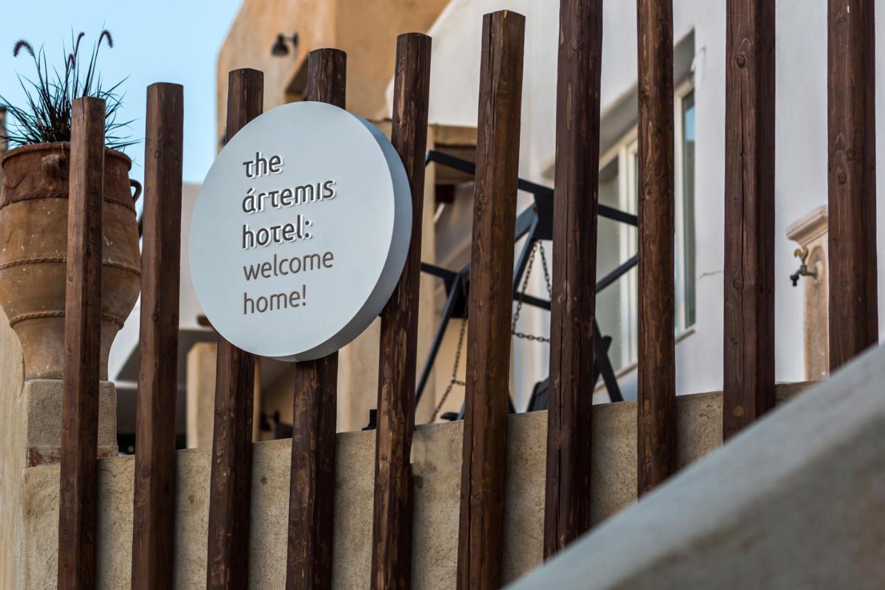 The Artemis Hotel Agia Anna  外观 照片